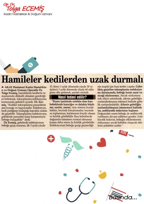 Hamileler Kedilerden Uzak Durmalı