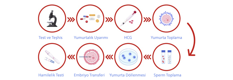 Tüp Bebek Tedavisinin Aşamaları