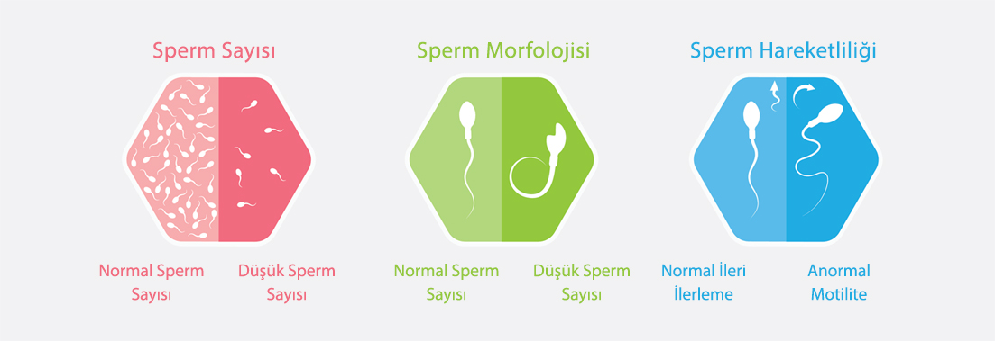 Sperm Analizi Nasıl Yapılır?